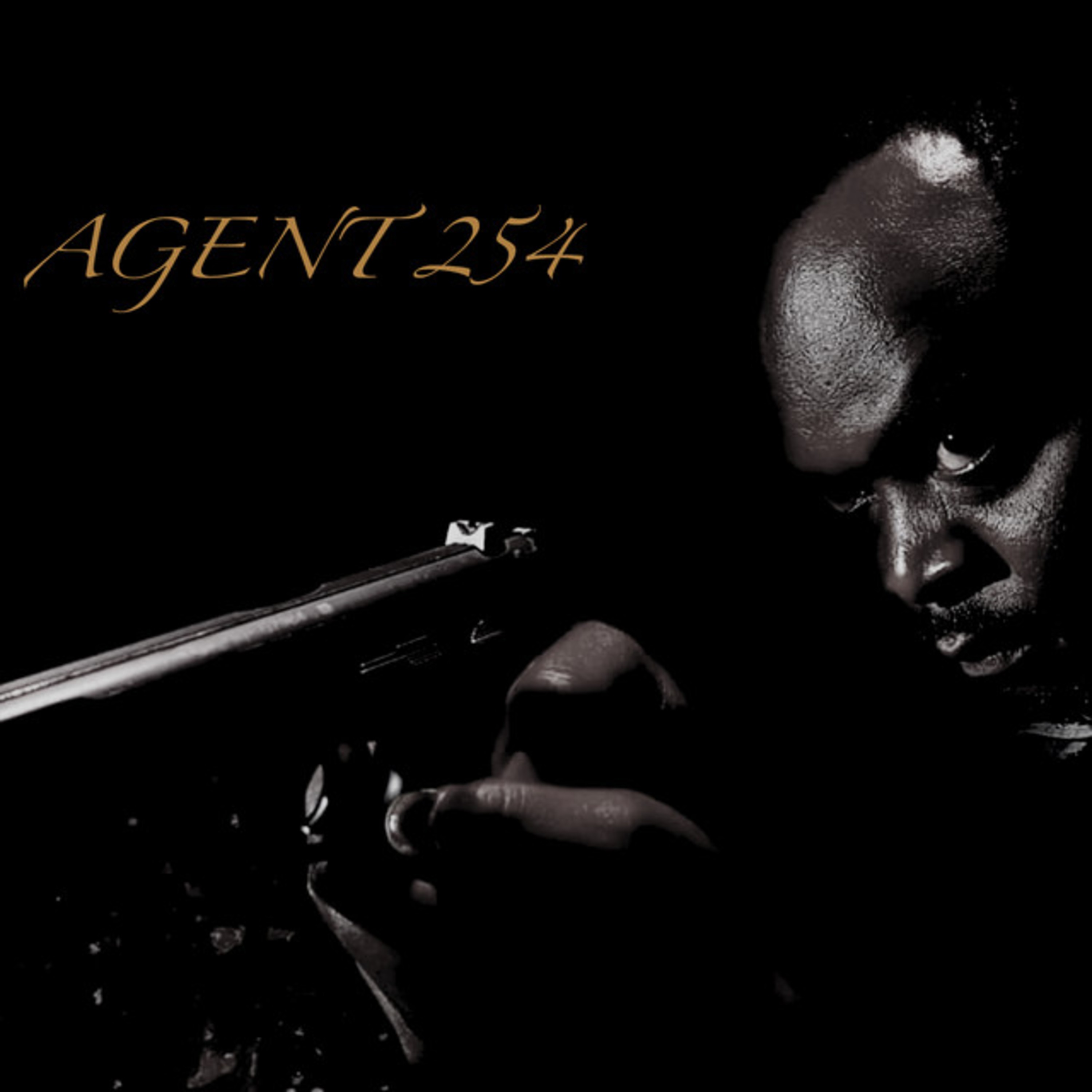 Agent 254 — Album by Noel Grass